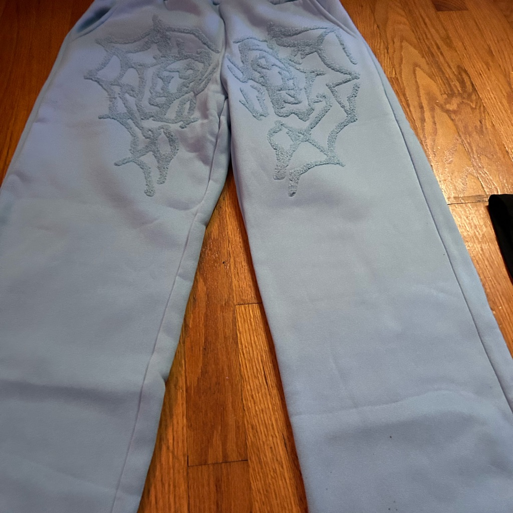 Shein Light Blue Embroidered Pants 10$